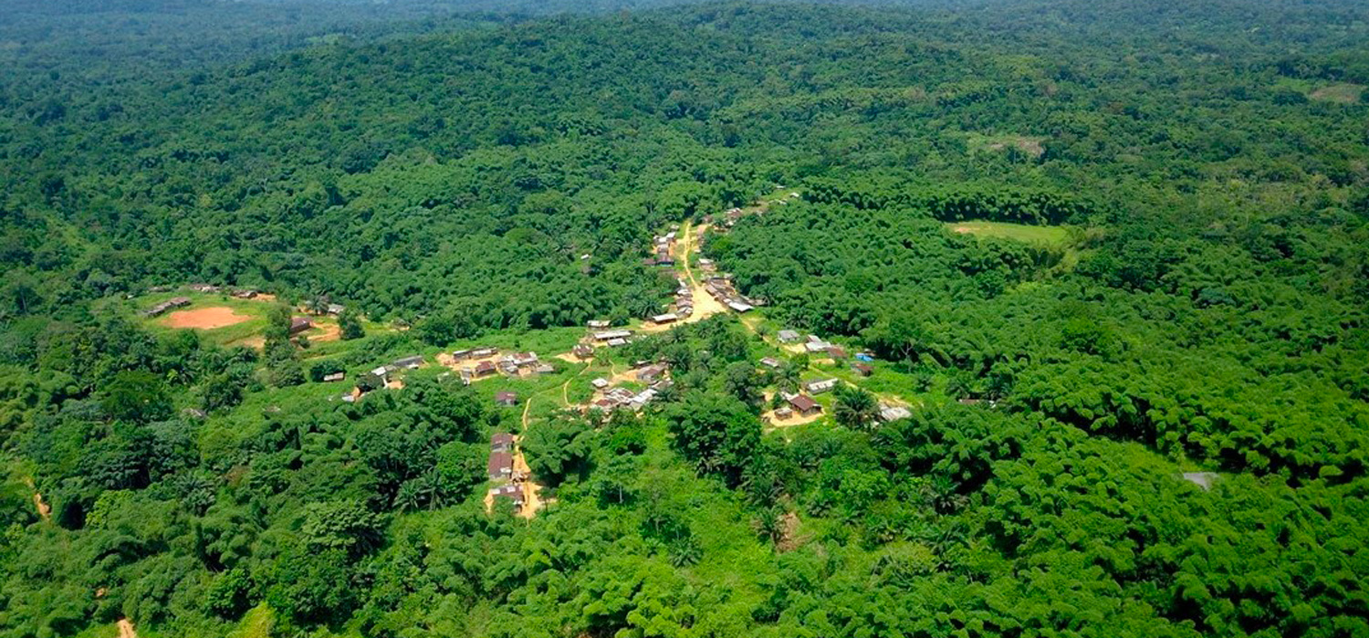 Ressources naturelles, matières premières ou commodités ?